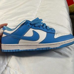 mens nike dunks